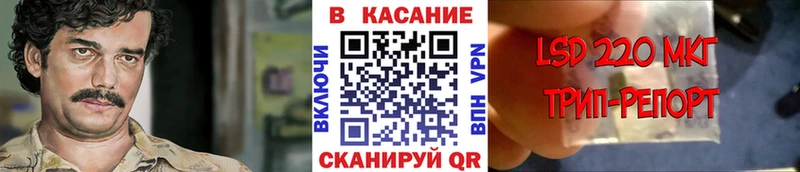 Псилоцибиновые грибы Славянск-на-Кубани