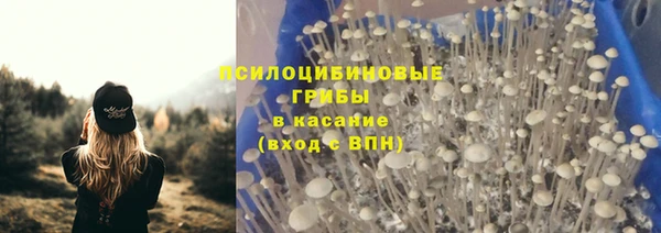 соль курить ск Богородск