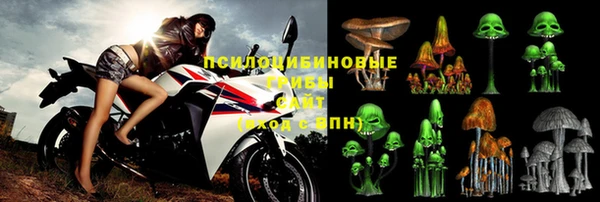 стафф Богородицк