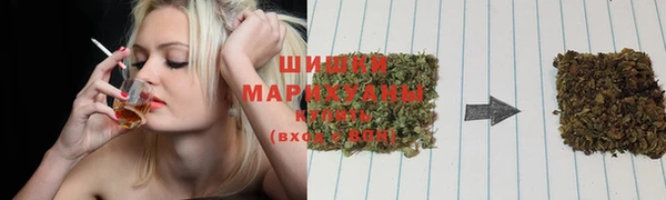 стафф Богородицк