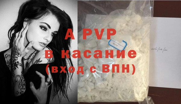 стафф Богородицк