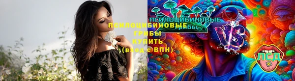 ешки Балахна