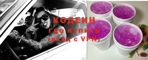 индика Балабаново