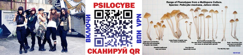 Псилоцибиновые грибы GOLDEN TEACHER  Купить закладки  Славянск-на-Кубани 